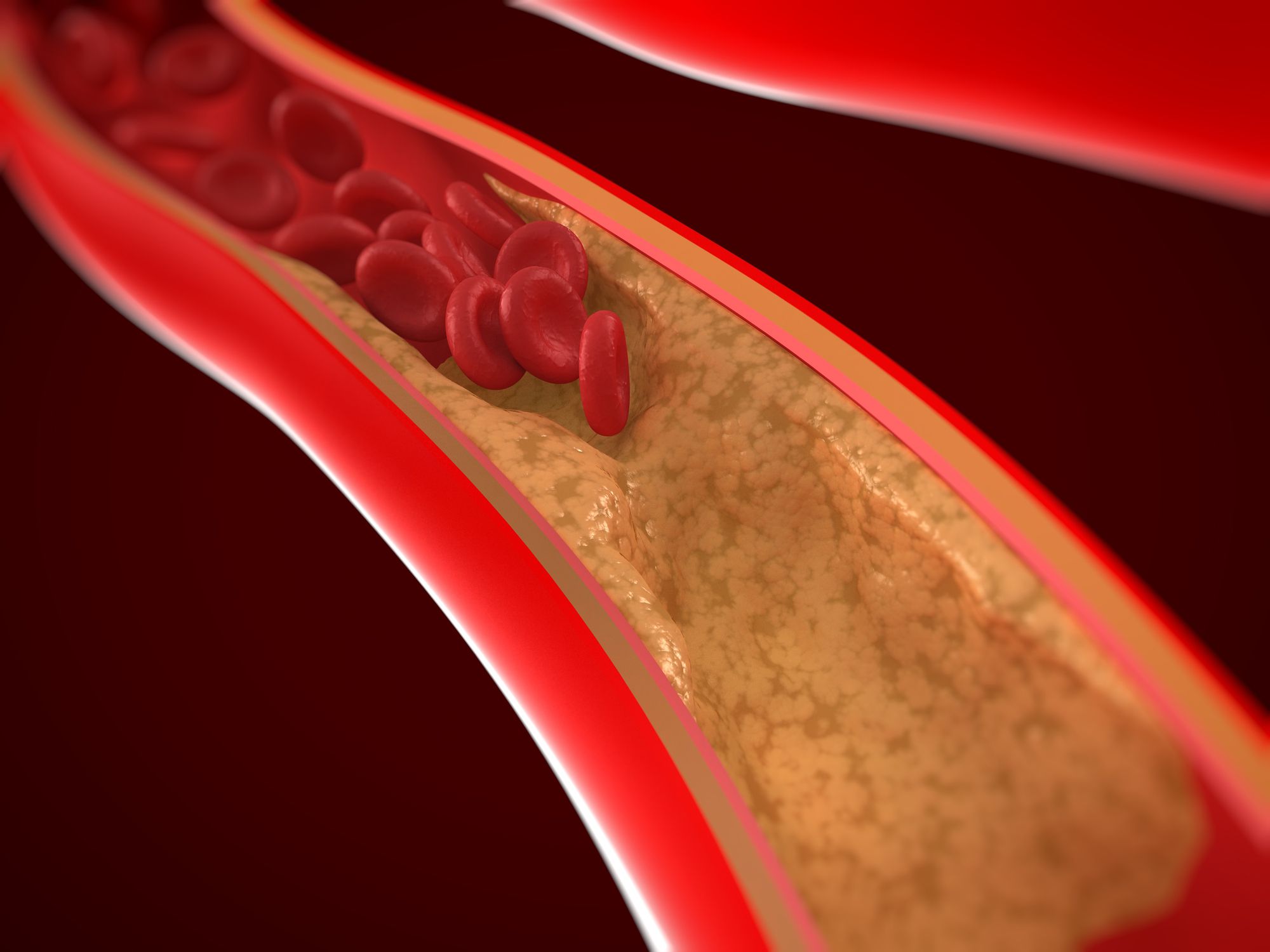 the-role-of-arteries-in-the-circulatory-system