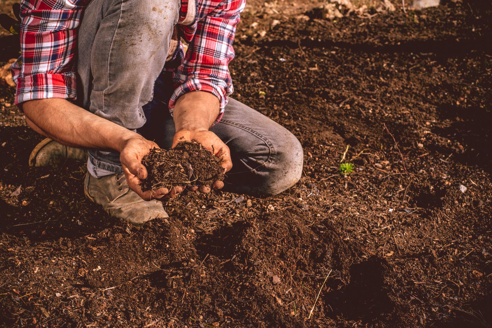 what-does-loam-mean-to-a-gardener