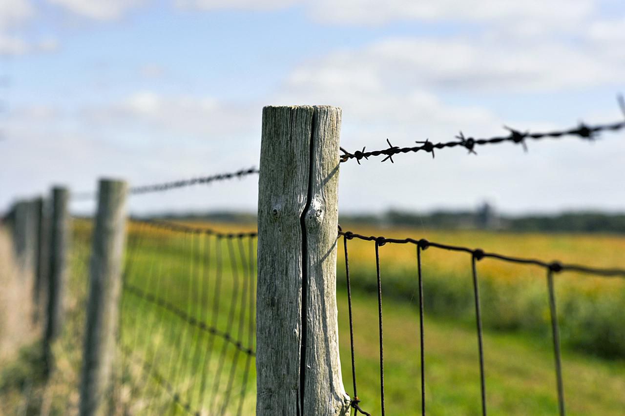 Types of Fencing for Your Small Farm