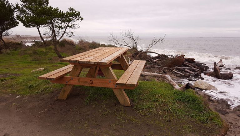 13 Free Picnic Table Plans In All Shapes and Sizes