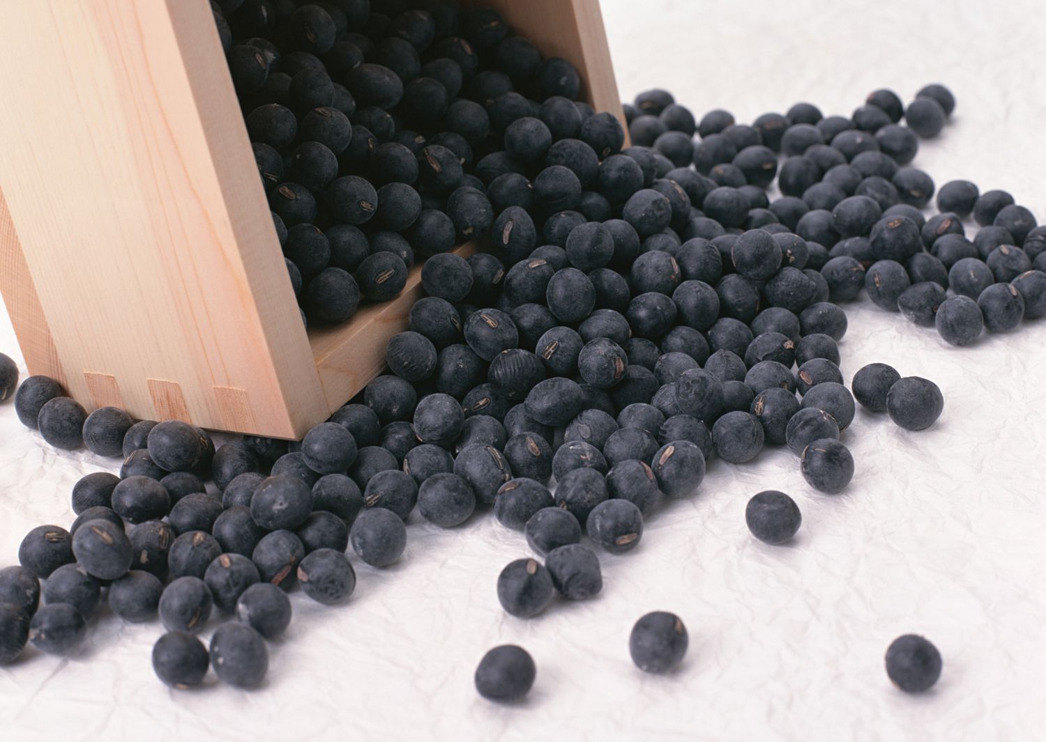 what-are-black-soybeans-and-how-to-cook-them