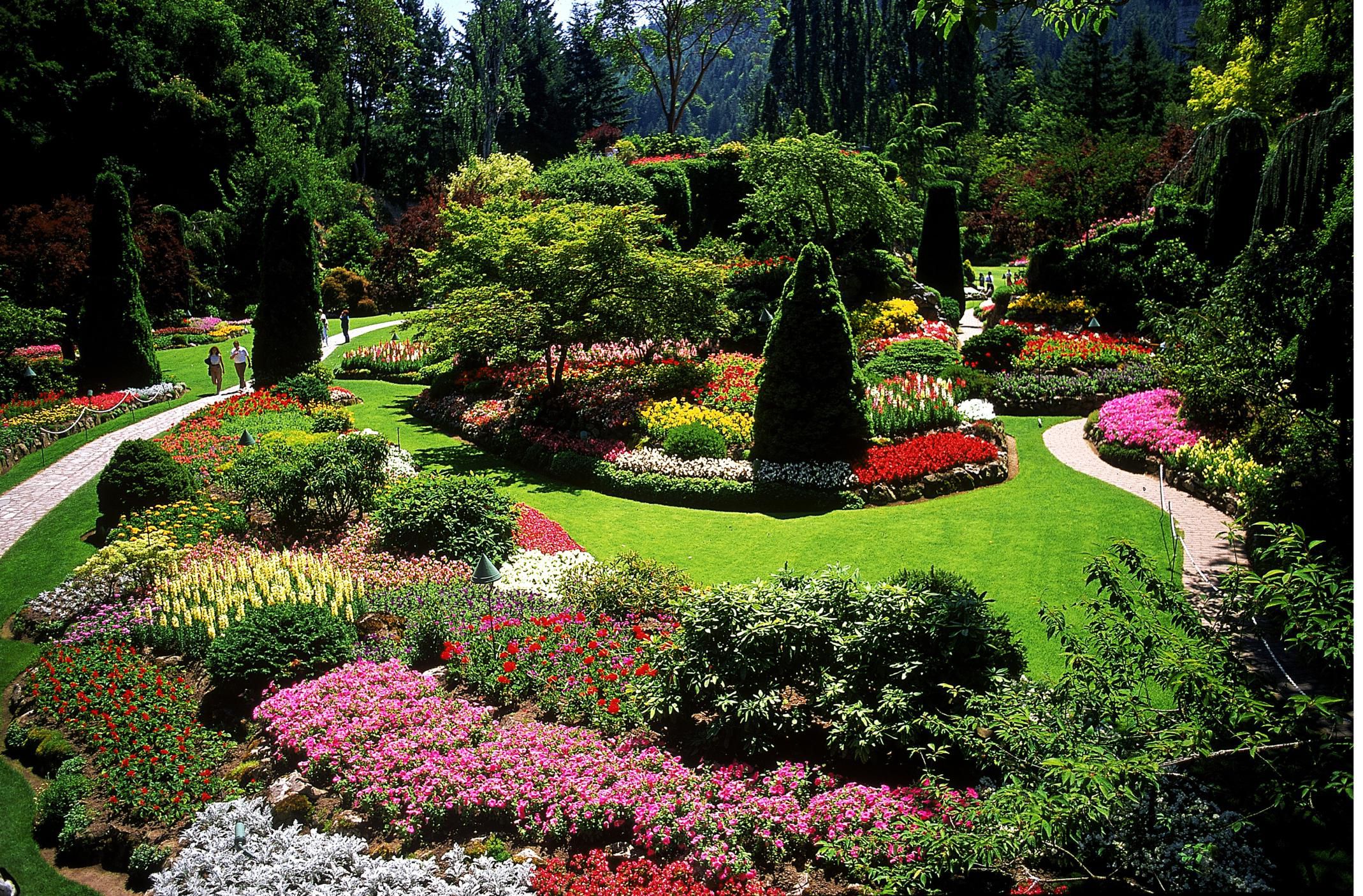 What Is The Definition Of Landscape Garden