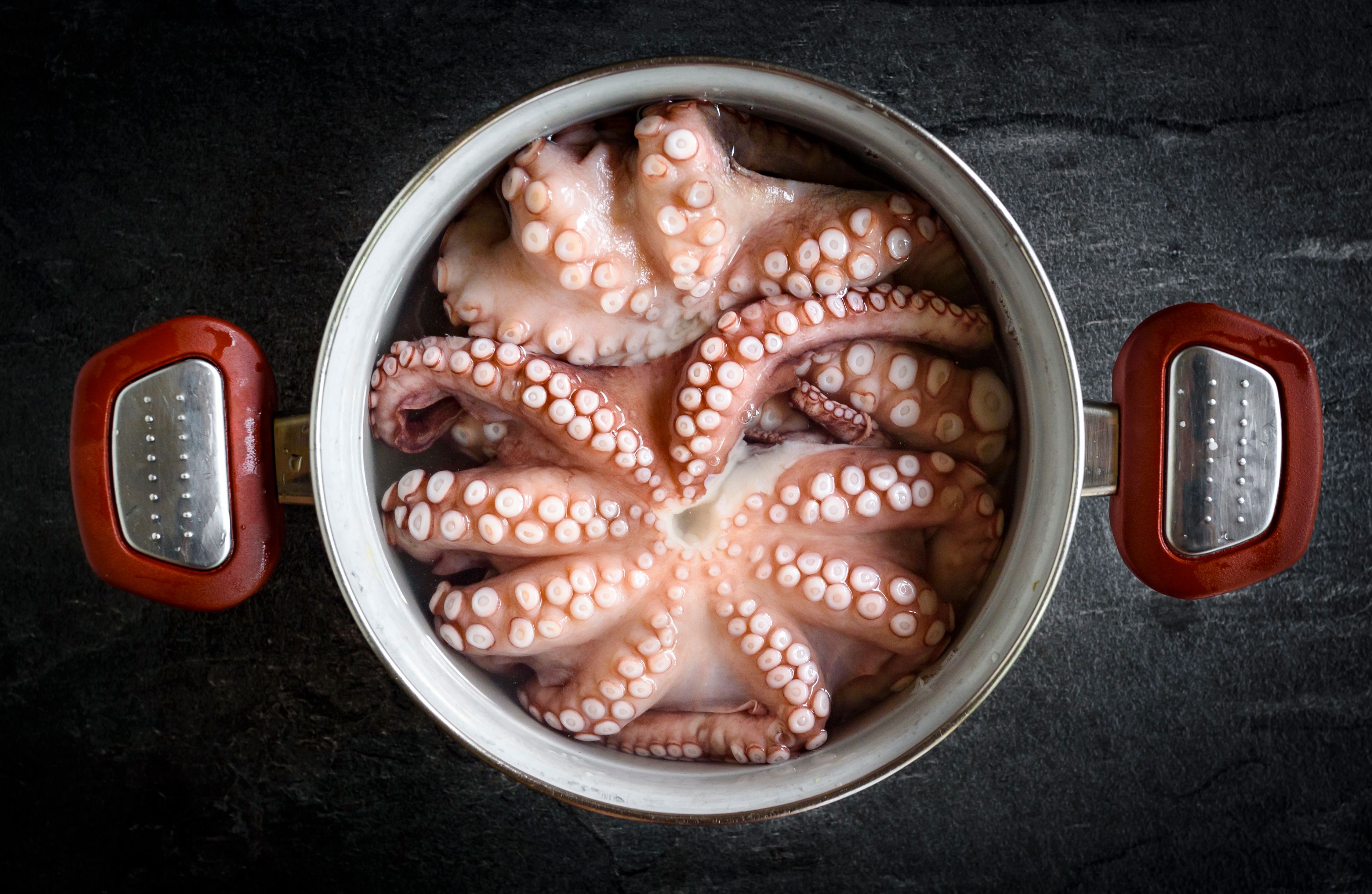 How To Cook Octopus