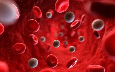 iron heart of 3 test Count (RBC) Blood the Understanding Cell Red