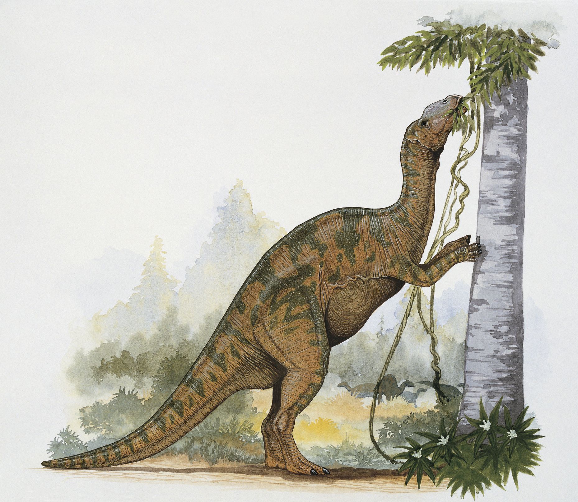 dinosaur with long neck that eats plants