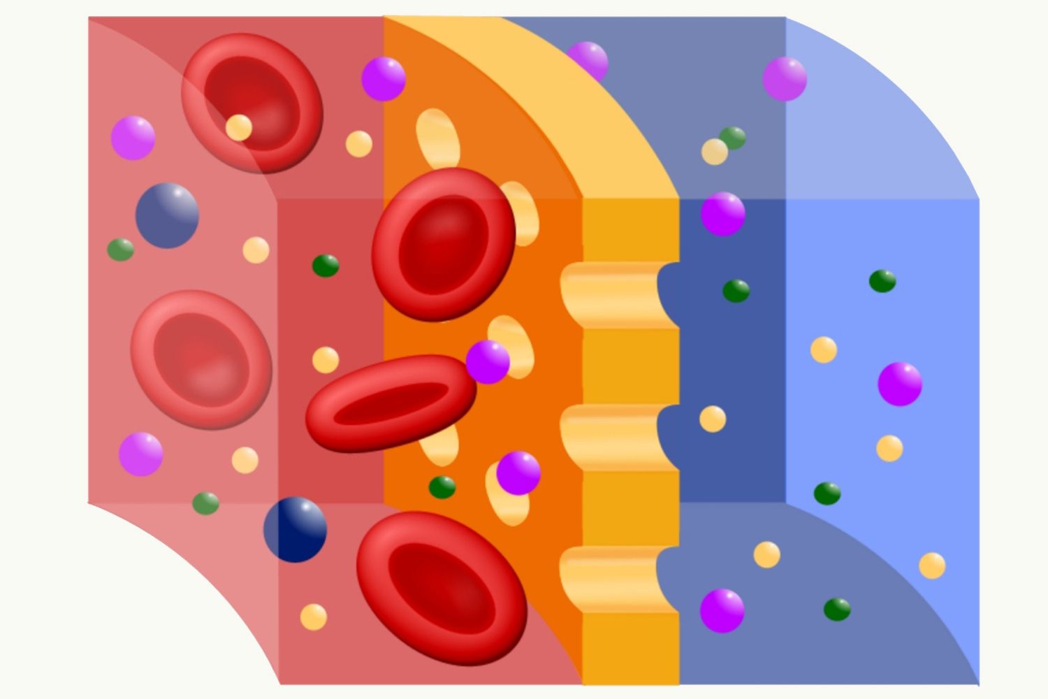 What Is Diffusion?