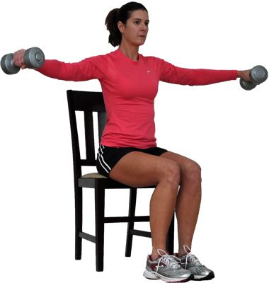 Seated Total Body for Overweight and Obese Exercisers