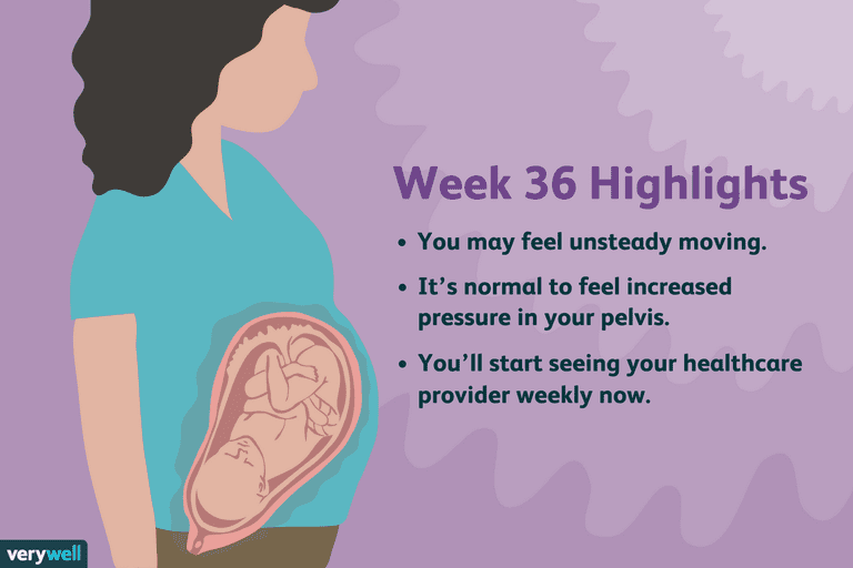 36 Weeks Pregnant 