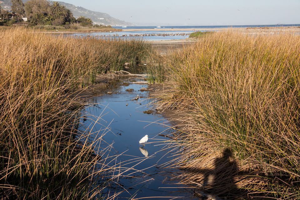 Malibu Lagoon Beach, Malibu, CA