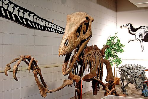 utahraptor discovery