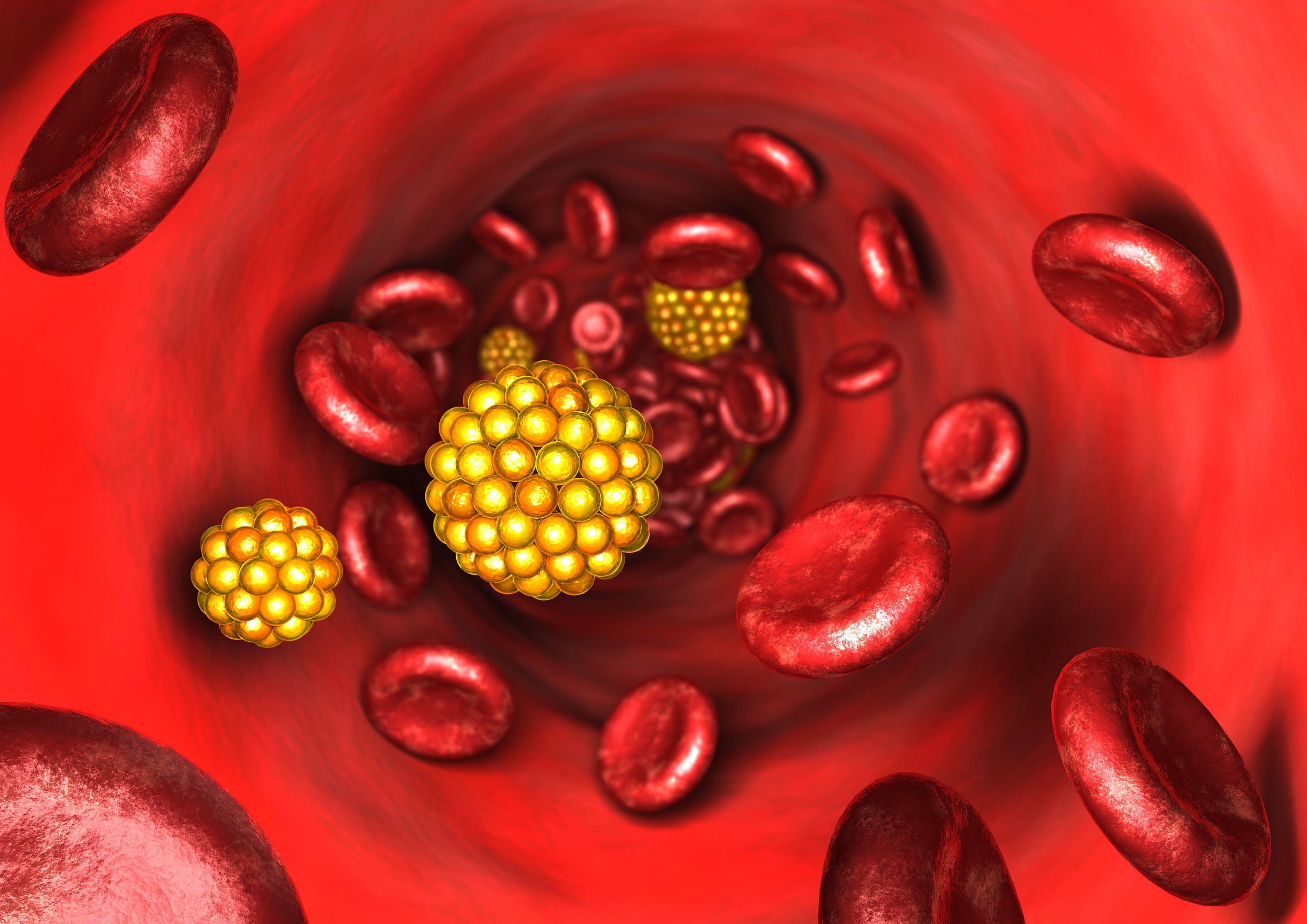 the-function-of-lipoproteins-in-the-body