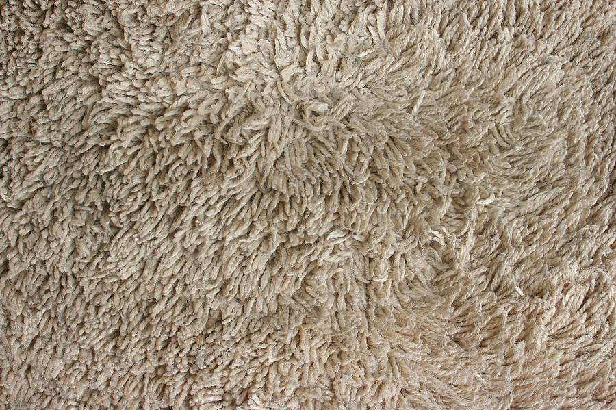 An Overview of Carpet Types—Fiber and Pile