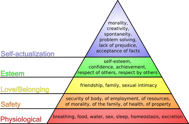 hierarchy-of-needs-56a791433df78cf772972cac.png