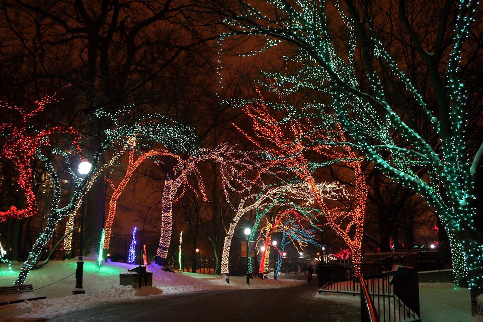 Lincoln Park ZooLights