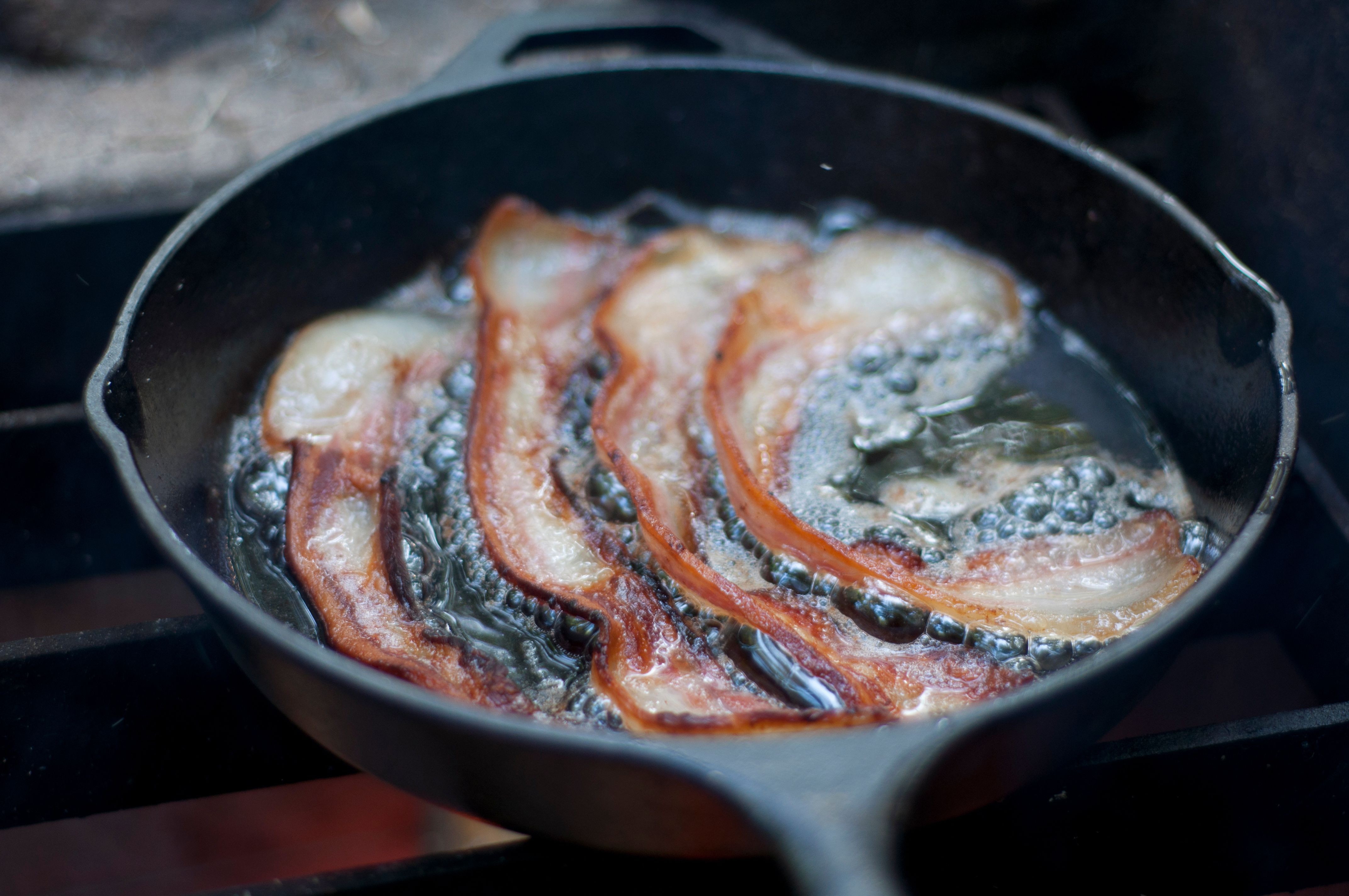 How To Get Bacon Grease Out Of Upholstery