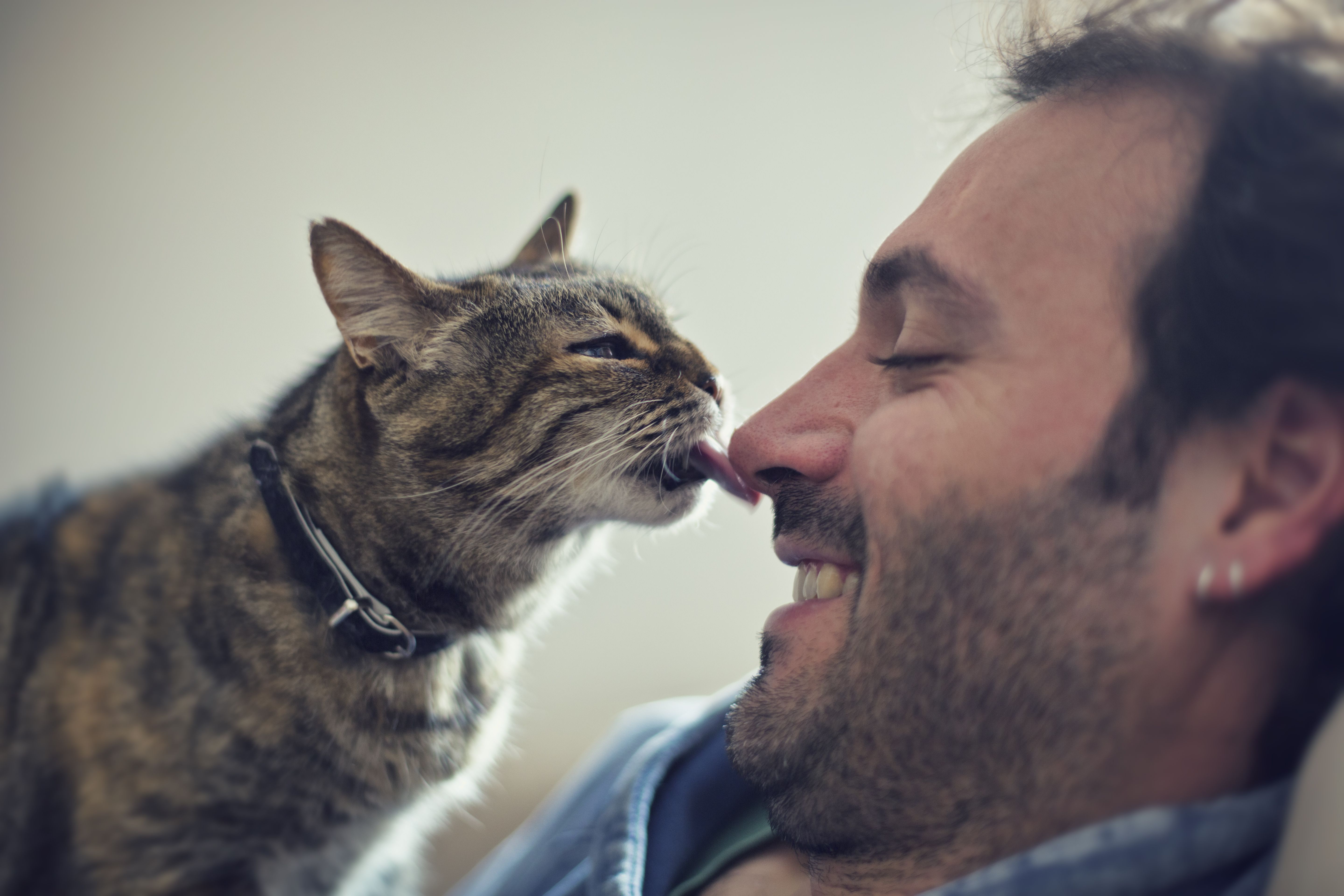 why-does-my-cat-lick-me