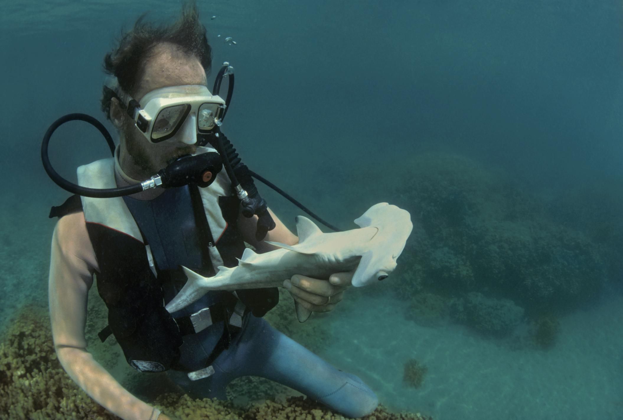 Explore a Career as a Marine Biologist