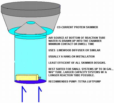 skimmer saltwater aquariums carner