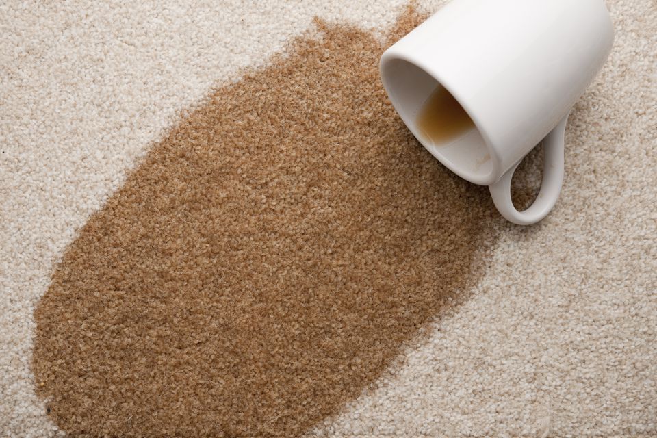 Download 3 Easy Steps to Remove Coffee Stains From Carpet