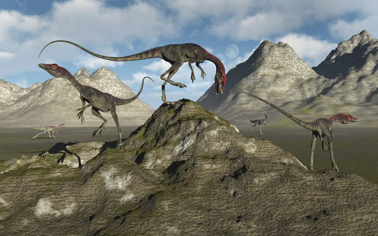 Image result for Compsognathus