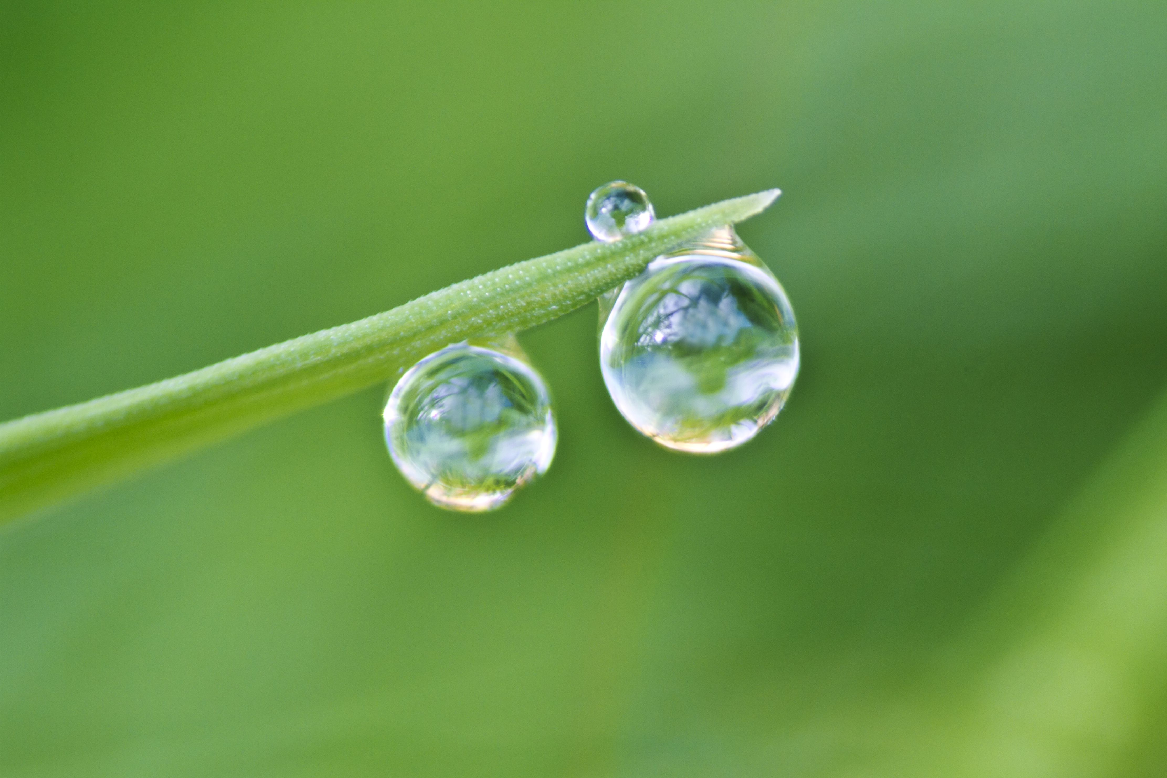 Surface Tension Definition in Chemistry