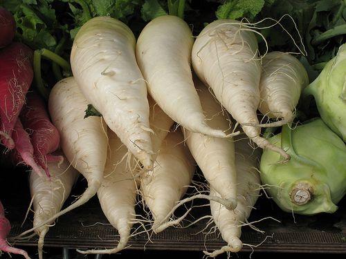 Radishes - Rettich - Kinds and Uses