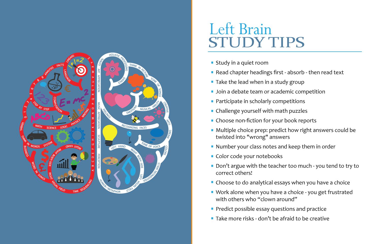 characteristics-of-left-brain-dominant-students