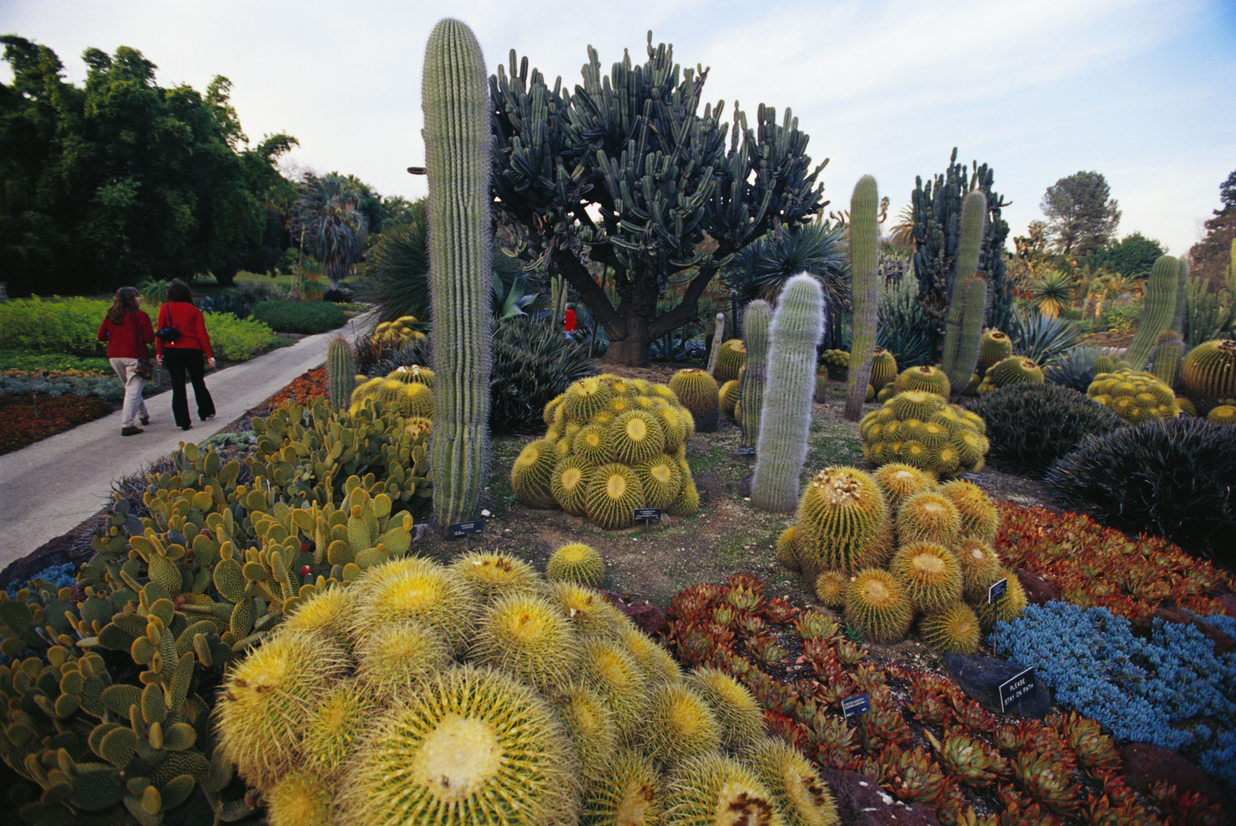 Beautiful Gardens In Los Angeles Historyofdhaniazin95