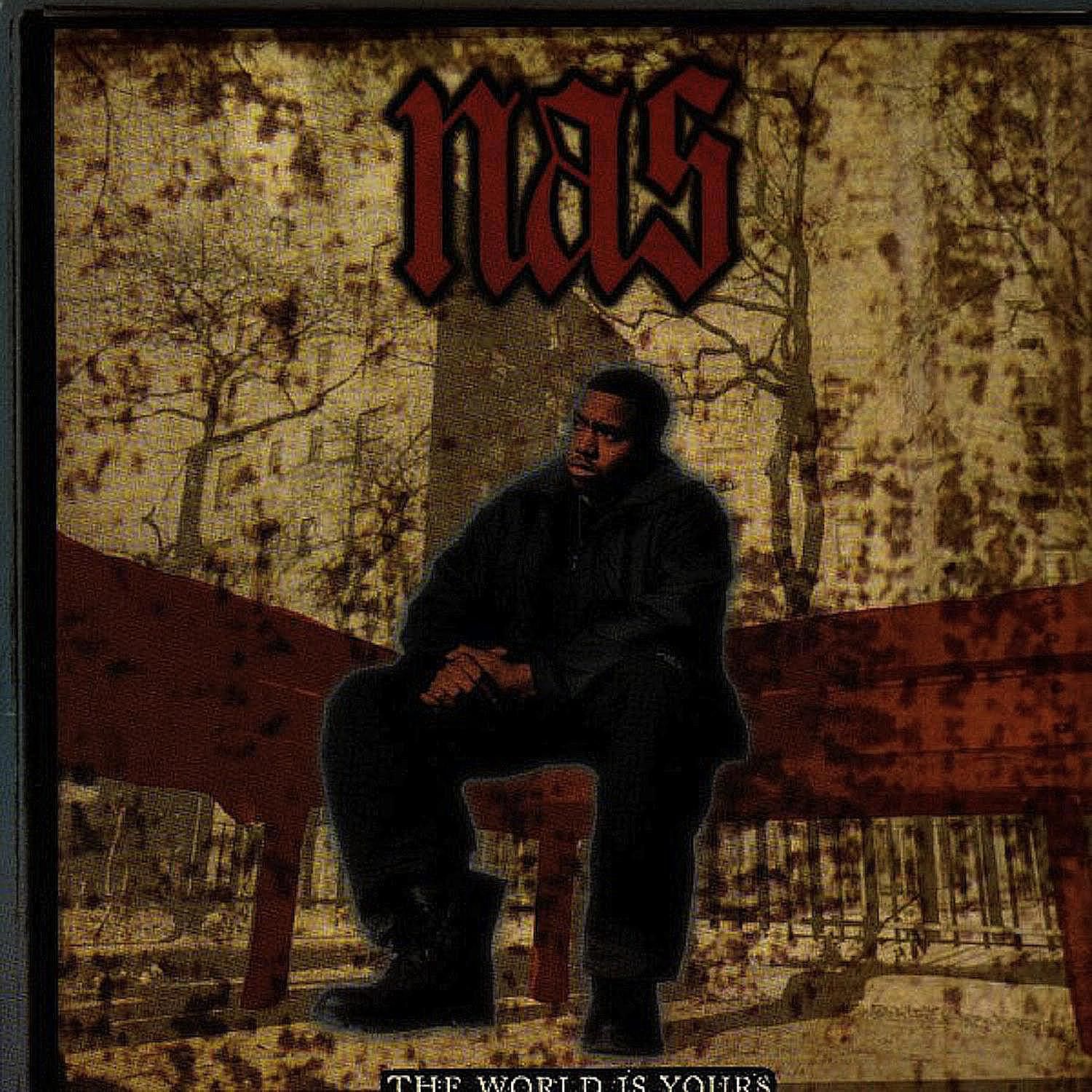 nas the world is yours 58b8c8413df78c353c