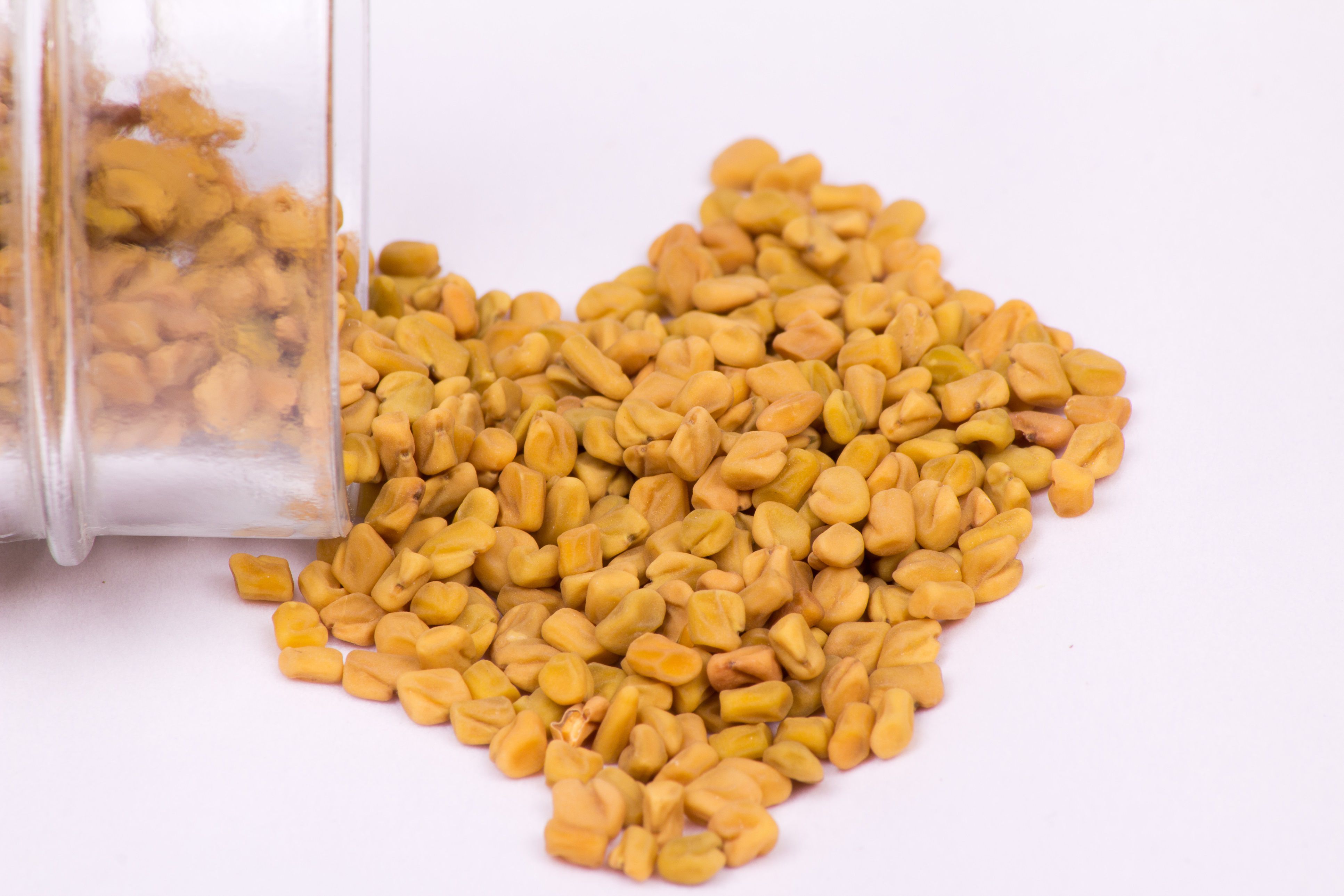 fenugreek-arabic-definition-and-uses