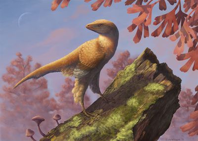 dino archaeopteryx