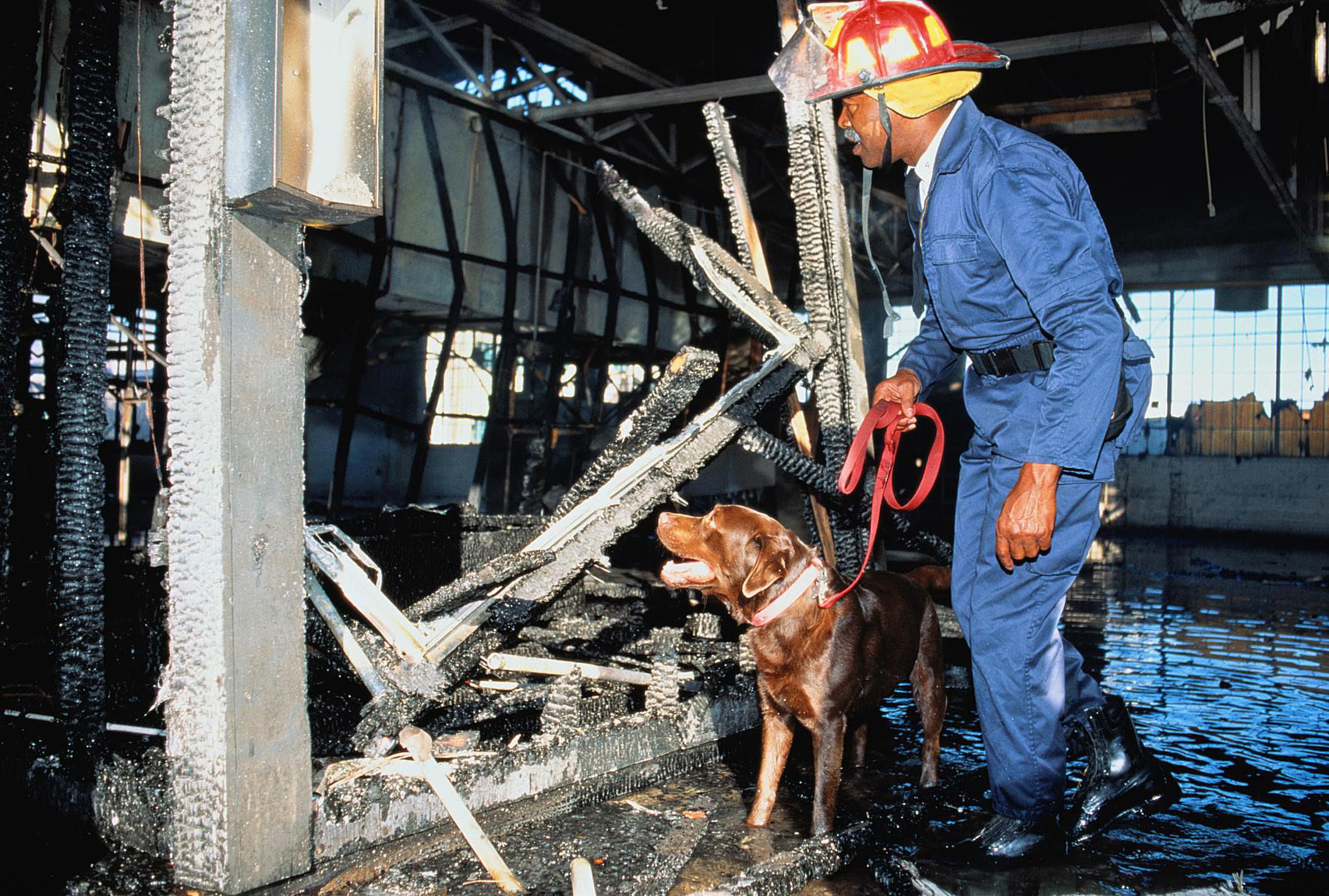 career-profile-fire-and-arson-investigators