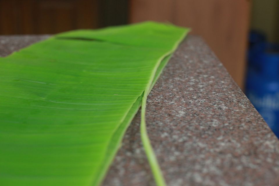 Fibrous edge of banana leaf