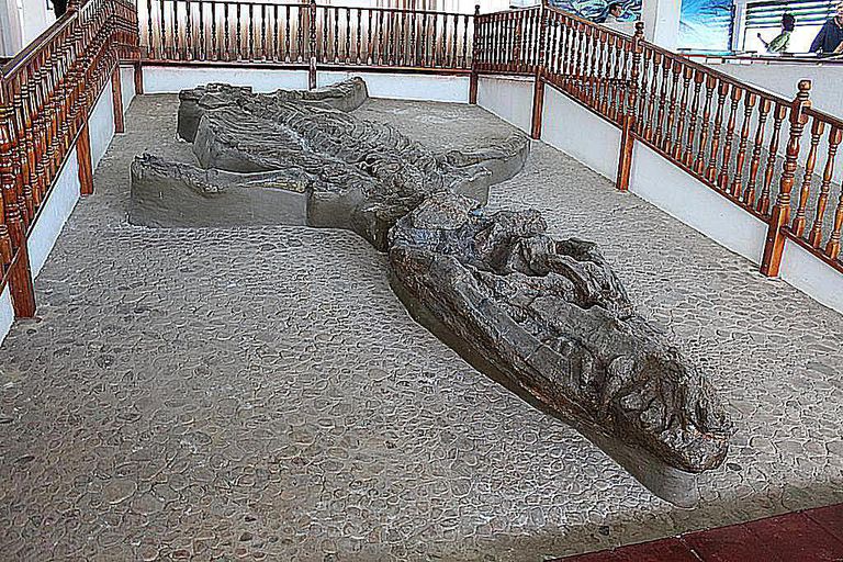 kronosaurus and mosasaurus