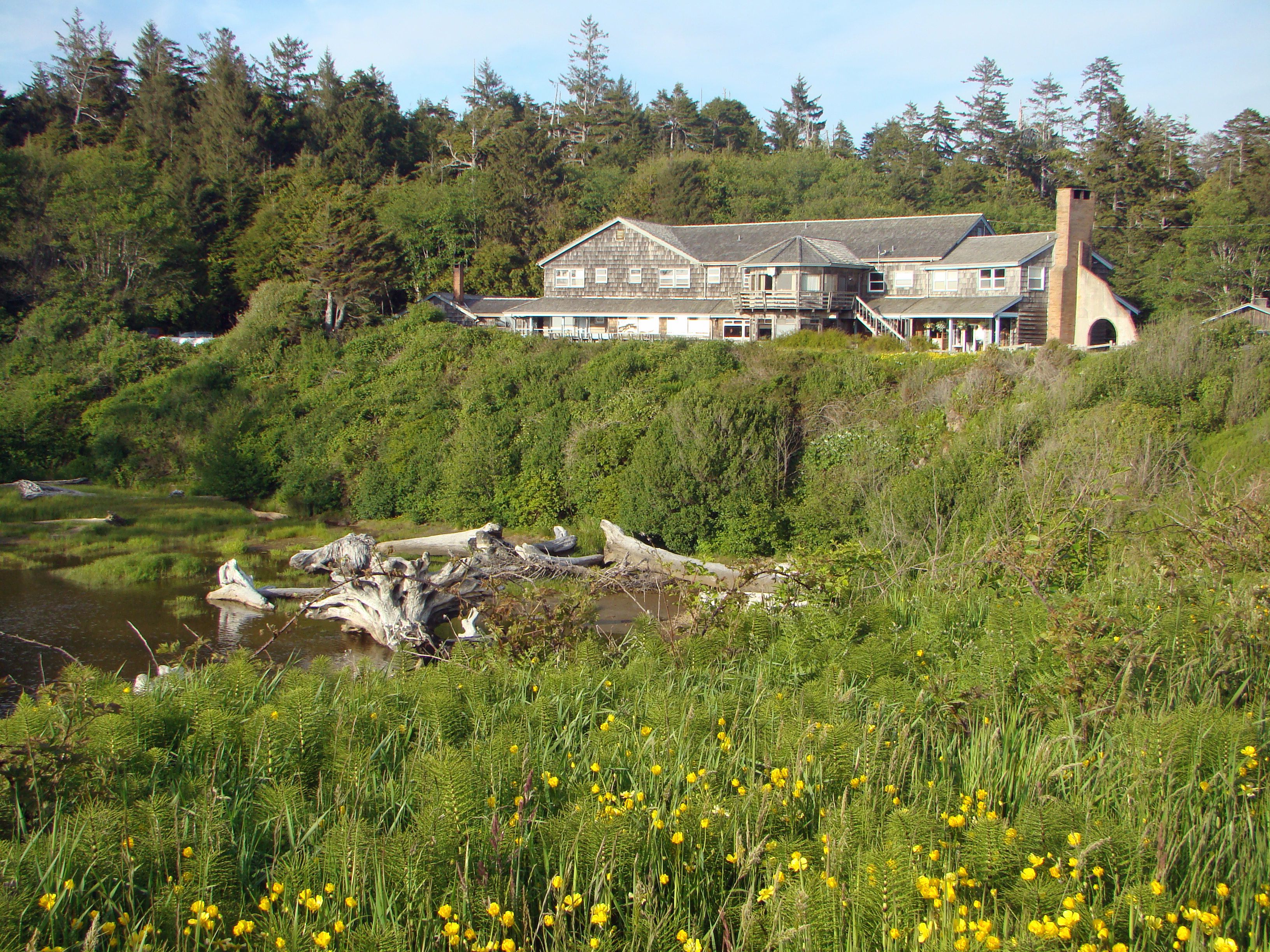 Review: Kalaloch Lodge In Olympic National Park