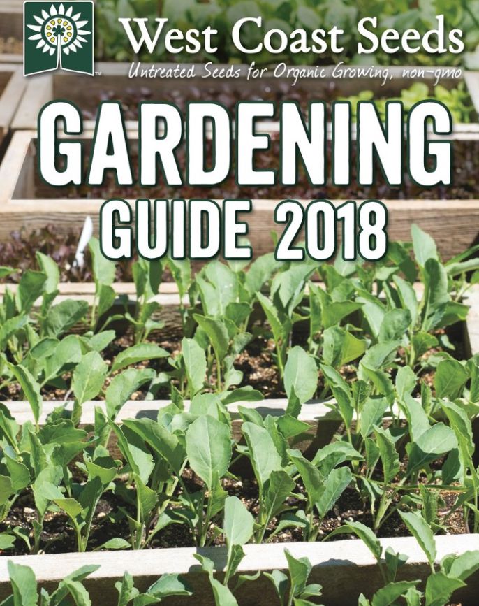 Seed Catalogs and Plant Catalogs