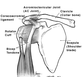 Frozen Shoulder - Siffness Called Adhesive Capsulitis