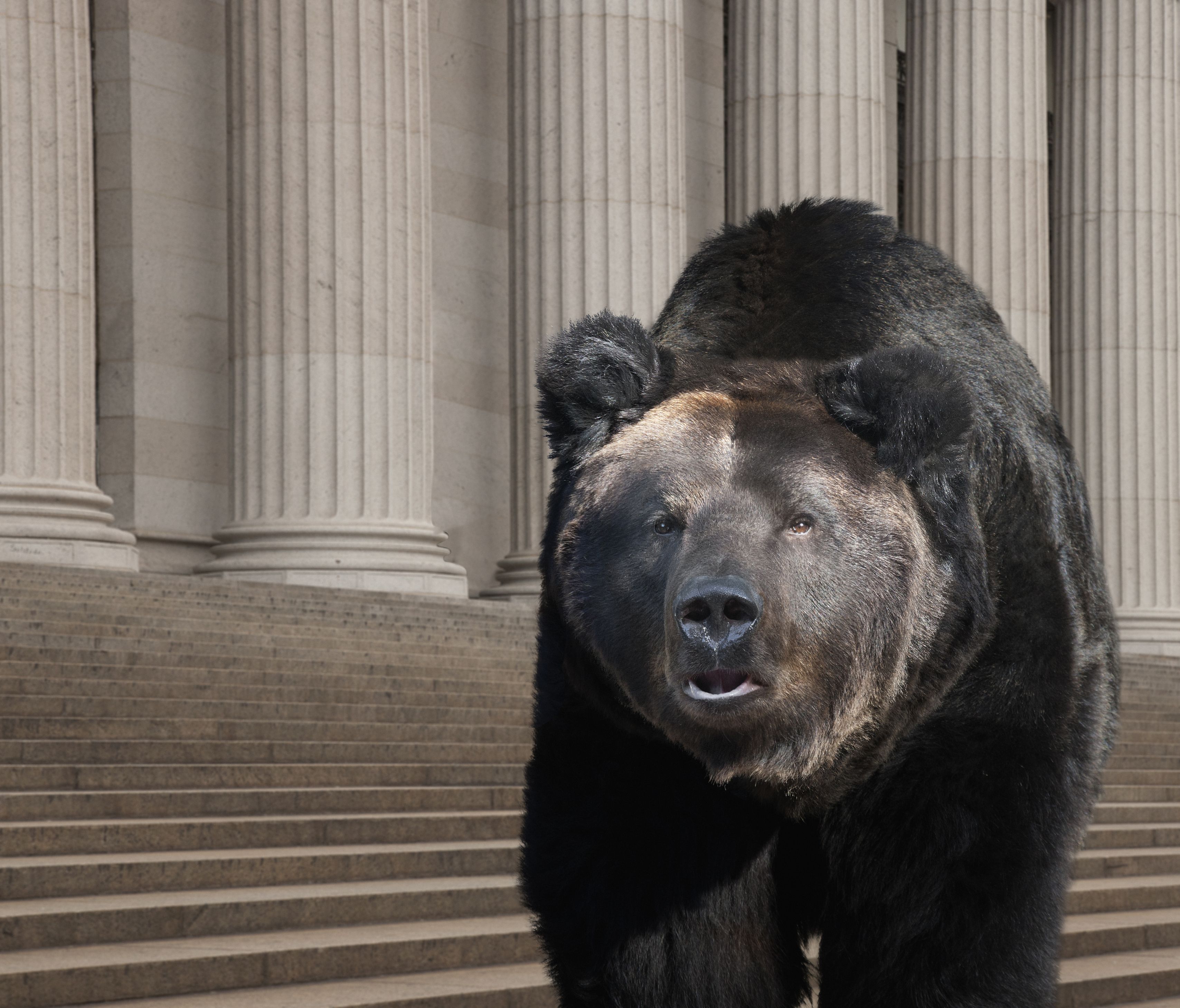 Understanding the Bear Market's Impact on Investments