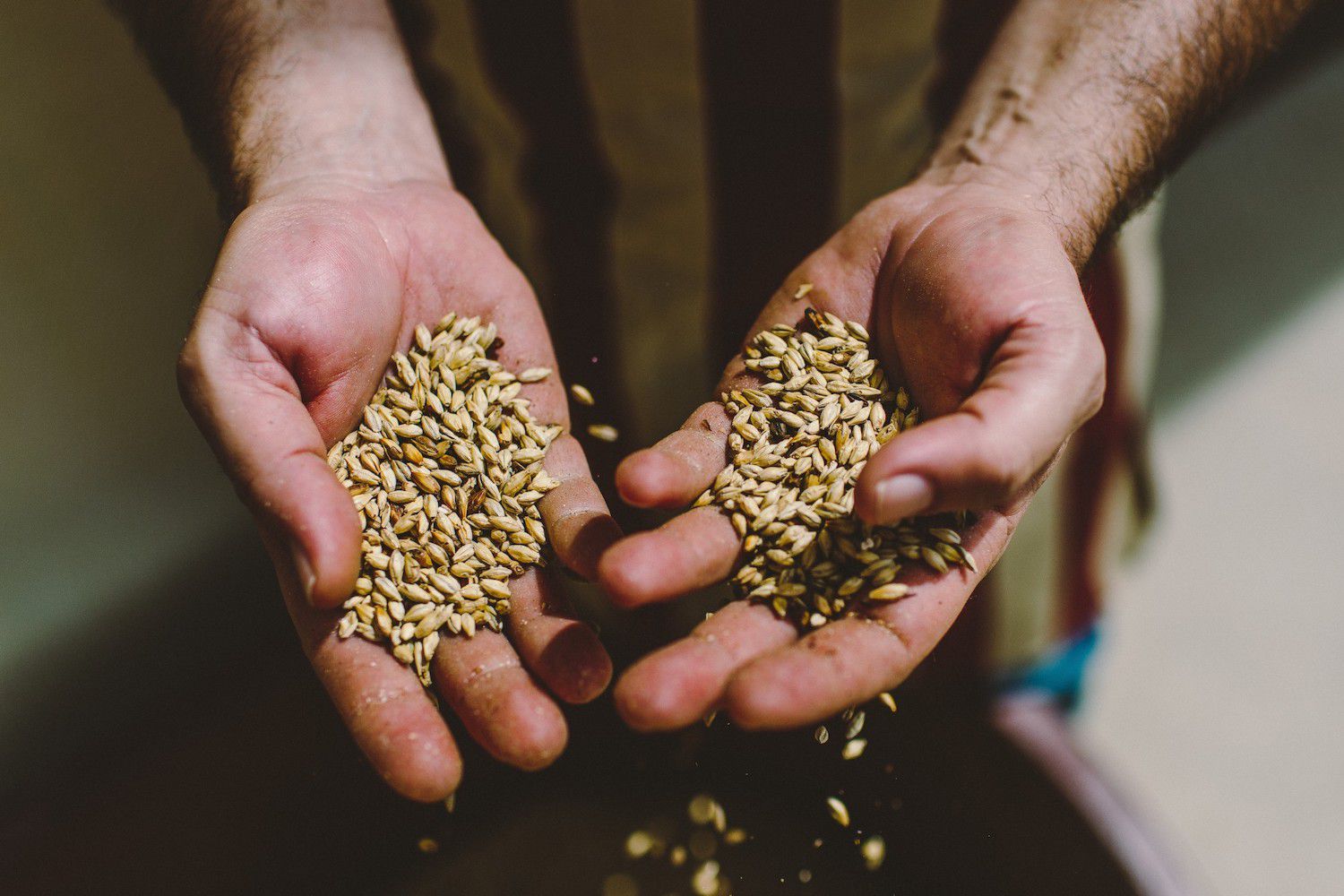 How One Innovative Company Is Repurposing Spent Grain
