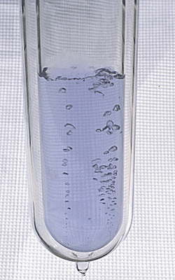 e of composition liquid Human Body the of Chemical Composition