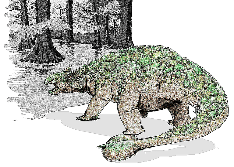 types of ankylosaurus