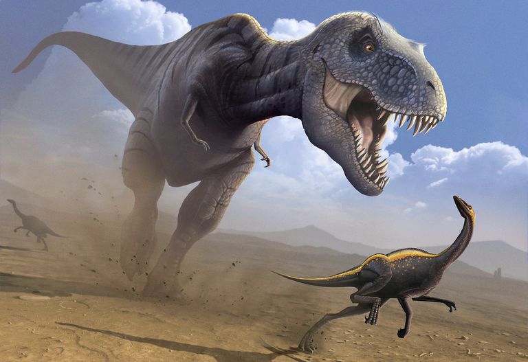 Oil Comes from Dinosaurs - Fact or Fiction?