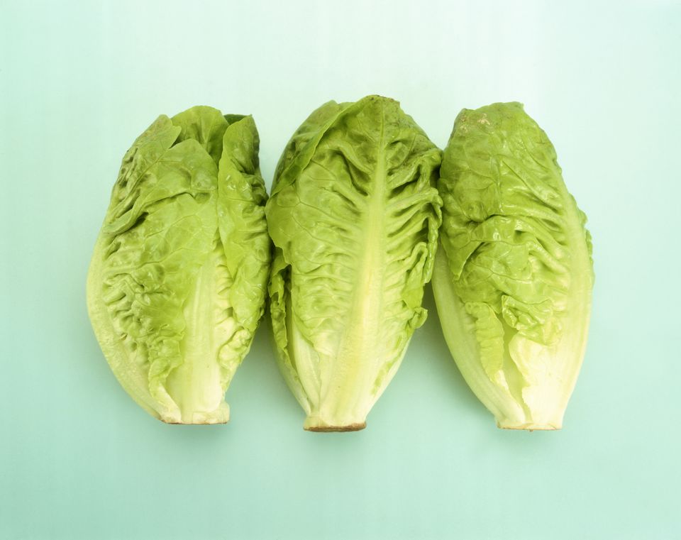 Lettuce Varieties 16 Types Of Lettuce   Little Gems Lettuce 57936b4c5f9b58173b7ebcf5 