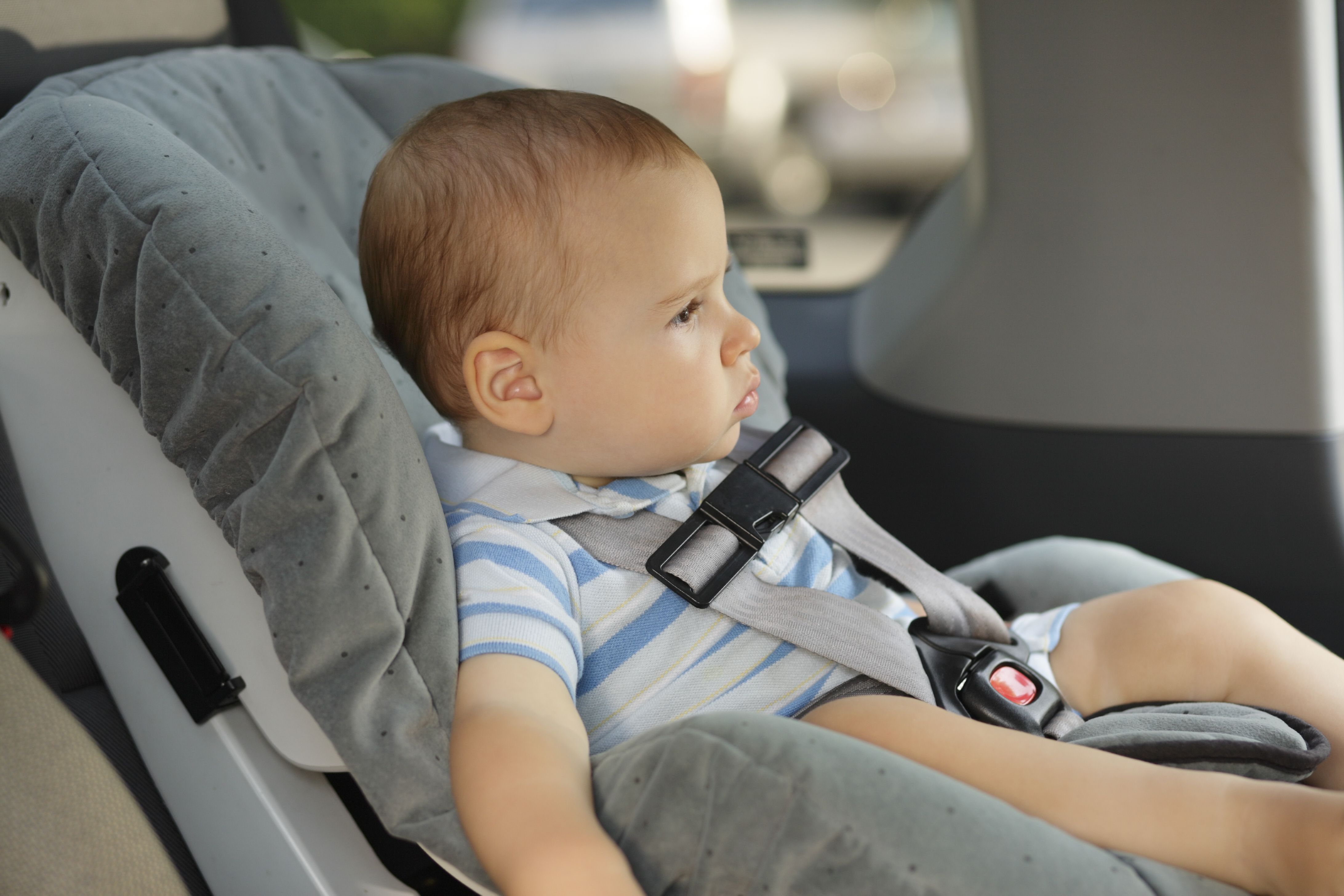 Seat Belt LockOffs On Baby Car Seats