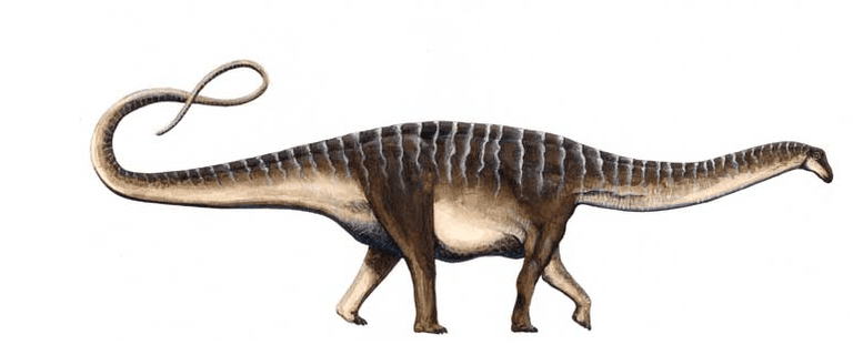 Pictures and Profiles of Sauropod Dinosaurs