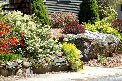 Pictures of Foundation Plantings: Ideas for Shrubbery