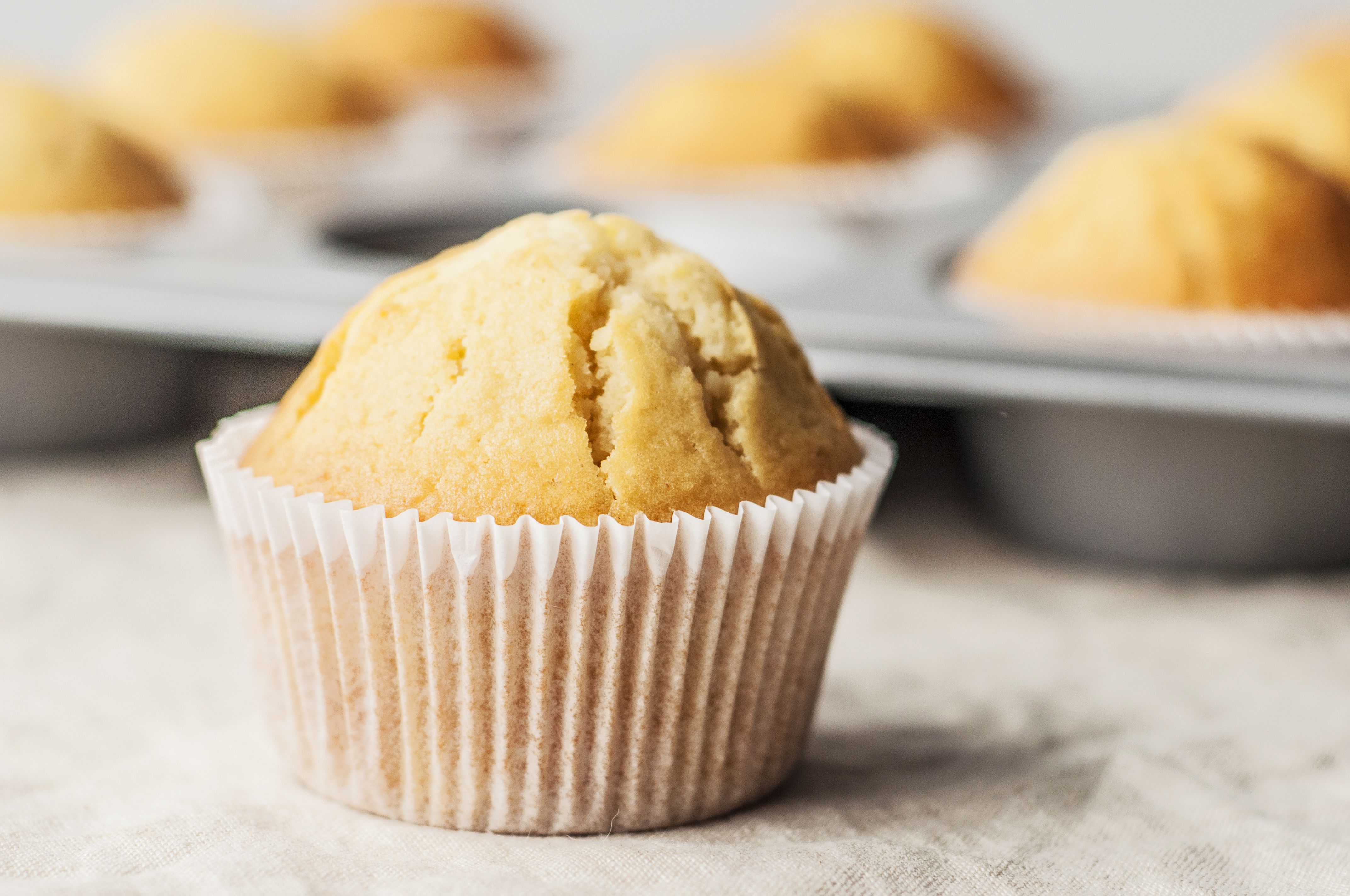 Best Muffin Recipes