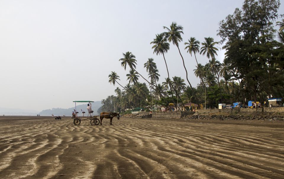 india-s-alibaug-beach-near-mumbai-essential-travel-guide