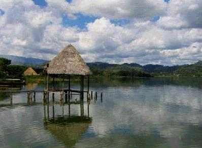 lago-sauce.jpg
