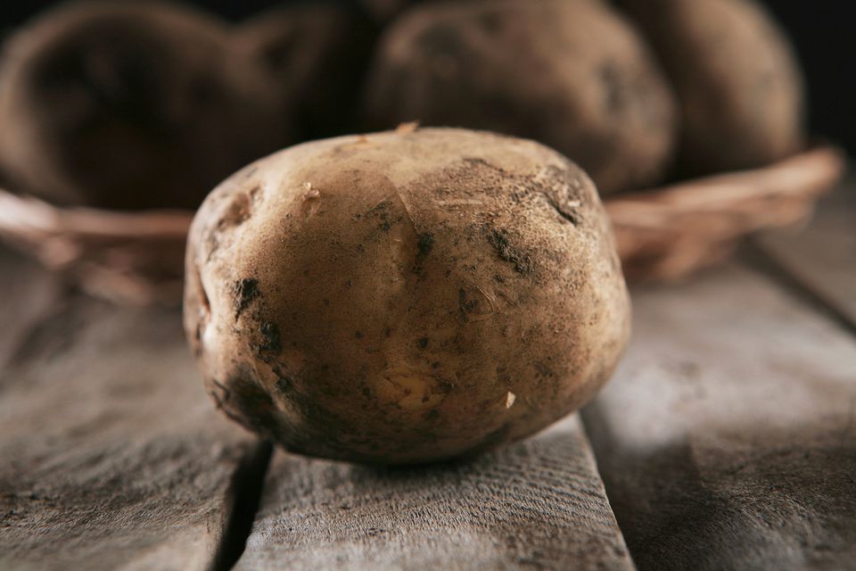 Idaho Potatoes (aka Russet): Great for Baking and Frying